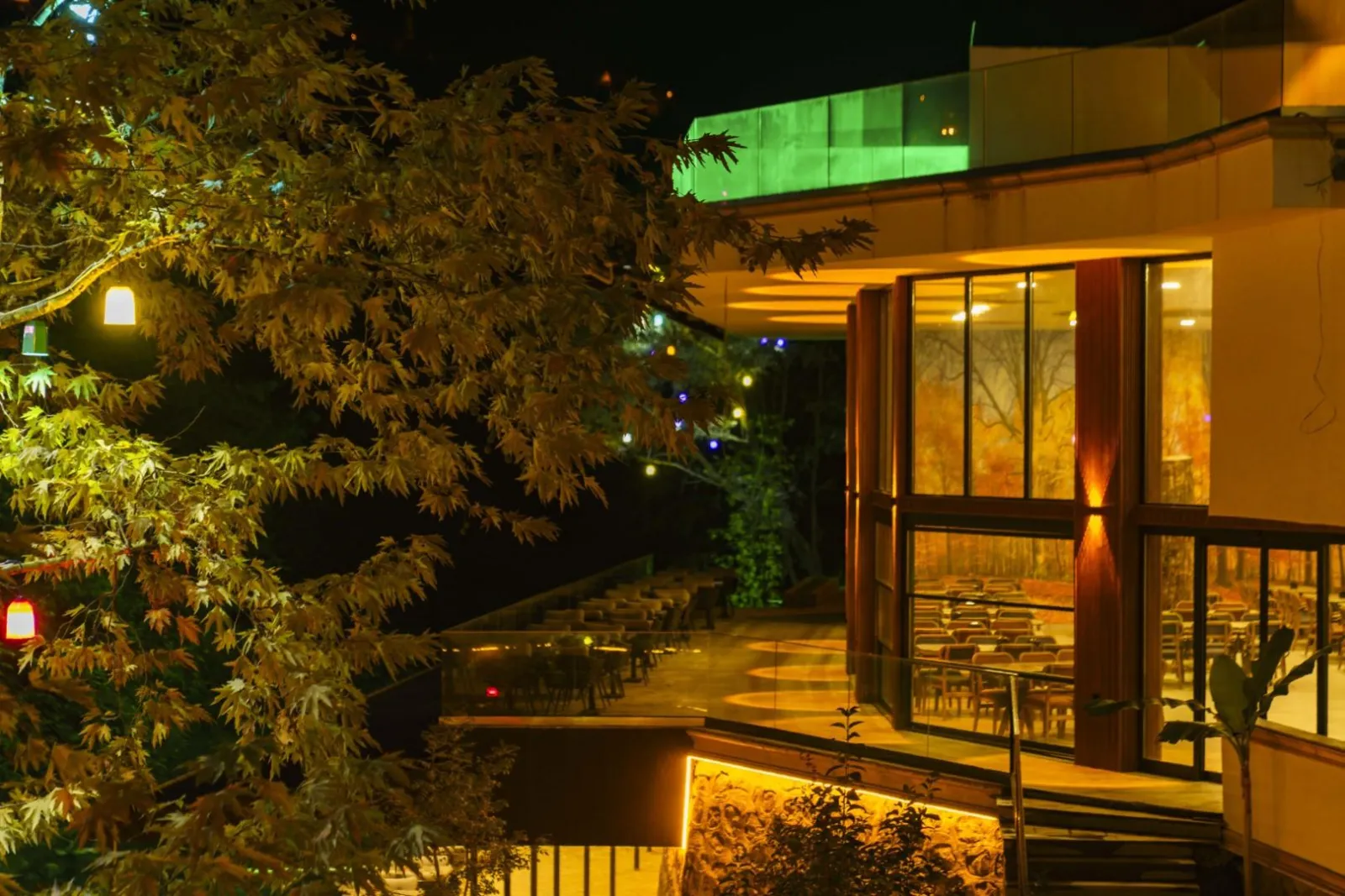 Restaurant görseli