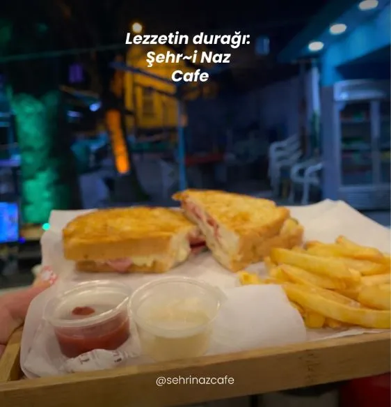 Tost Çeşitleri görseli