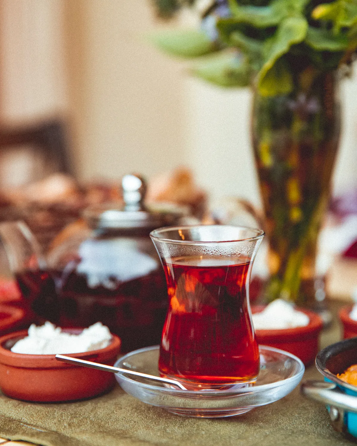 Çay û Çayên Gîyayî görseli