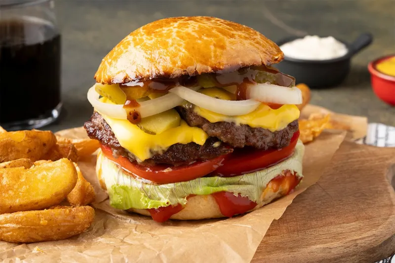 Burger Çeşitleri görseli
