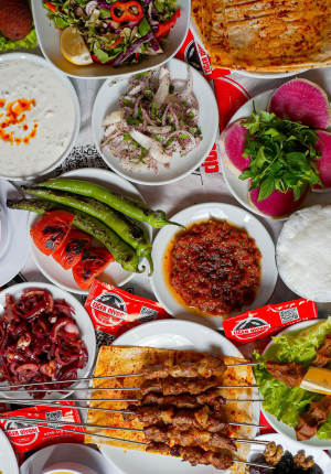 Ciğer Diyarı Kapak Görseli