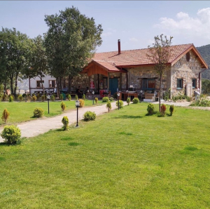 DOĞADA MOLA Kapak Görseli