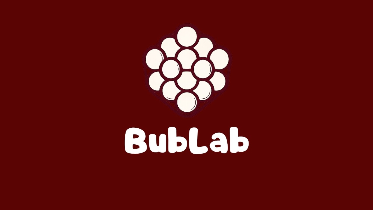 BubLab Wraps Kapak Görseli