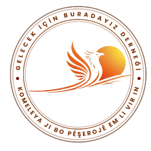 Medya Pirtûk Logo